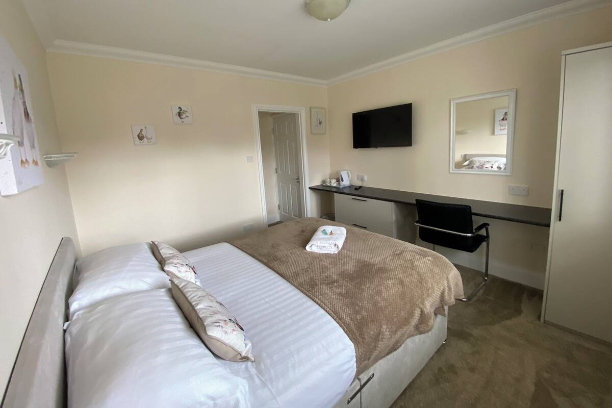 Une chambre d’hôtel avec un lit, un bureau, une chaise, une télévision et une porte.