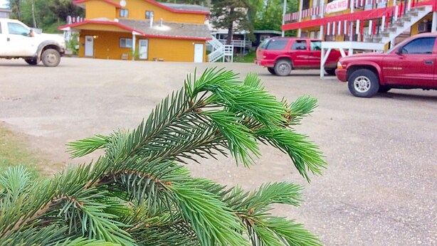 Estacionamento grátis sem manobrista