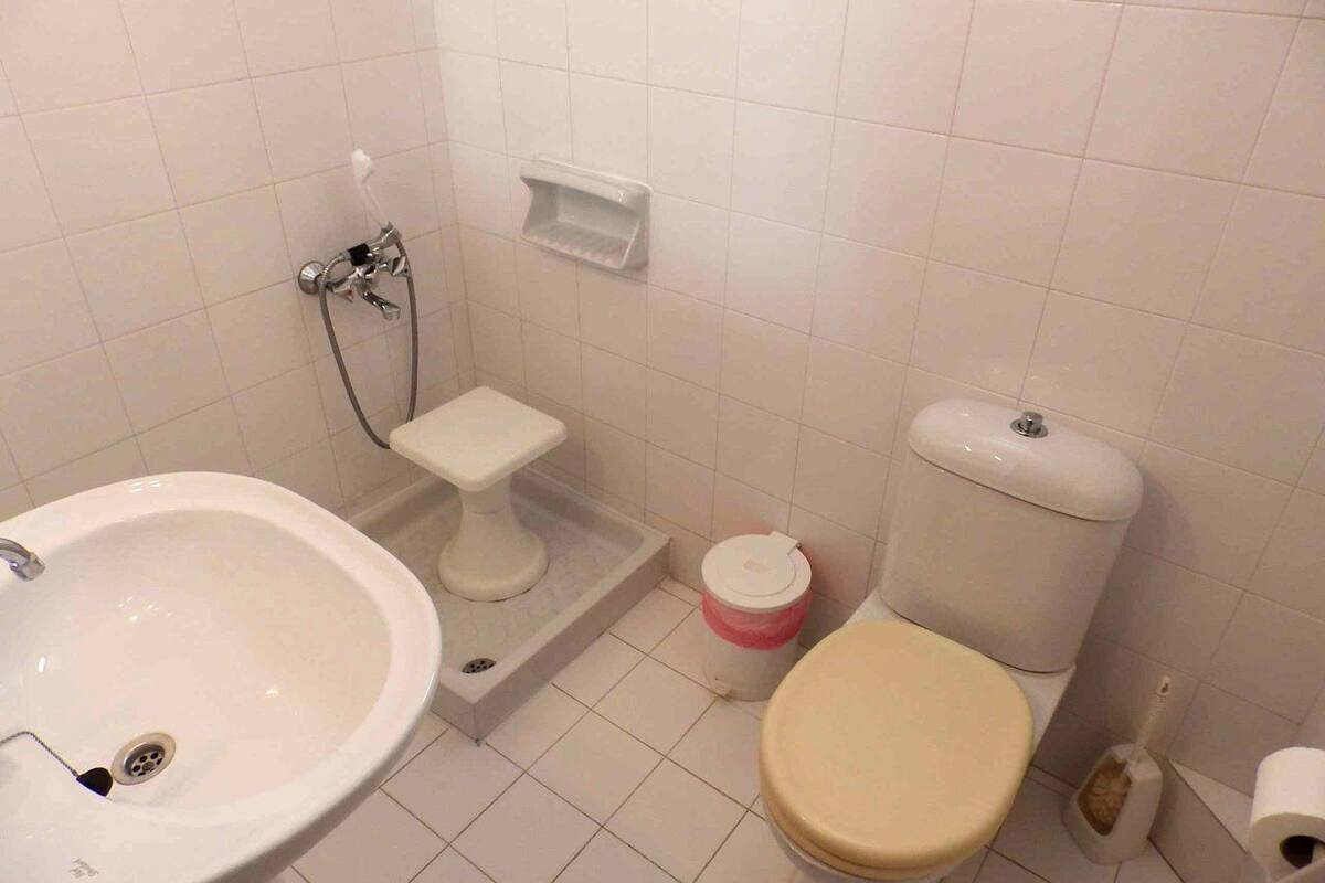 standard room | bathroom | shower, hair dryer, towels