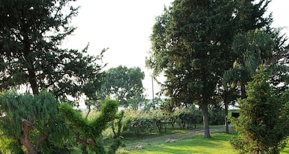 La Chora di Paestum