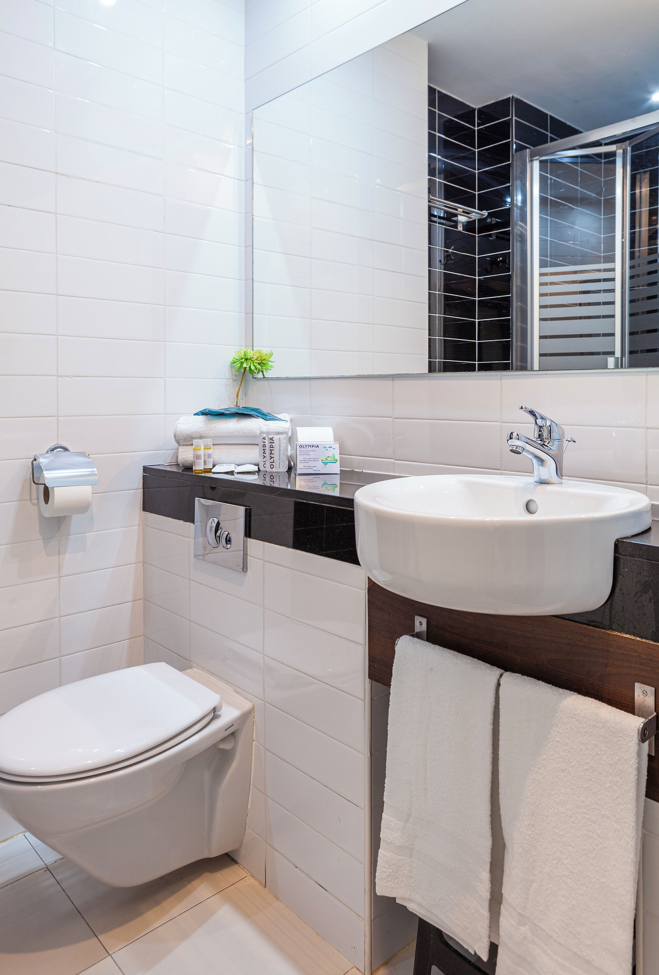 Une salle de bain moderne avec des toilettes, un lavabo et un miroir.