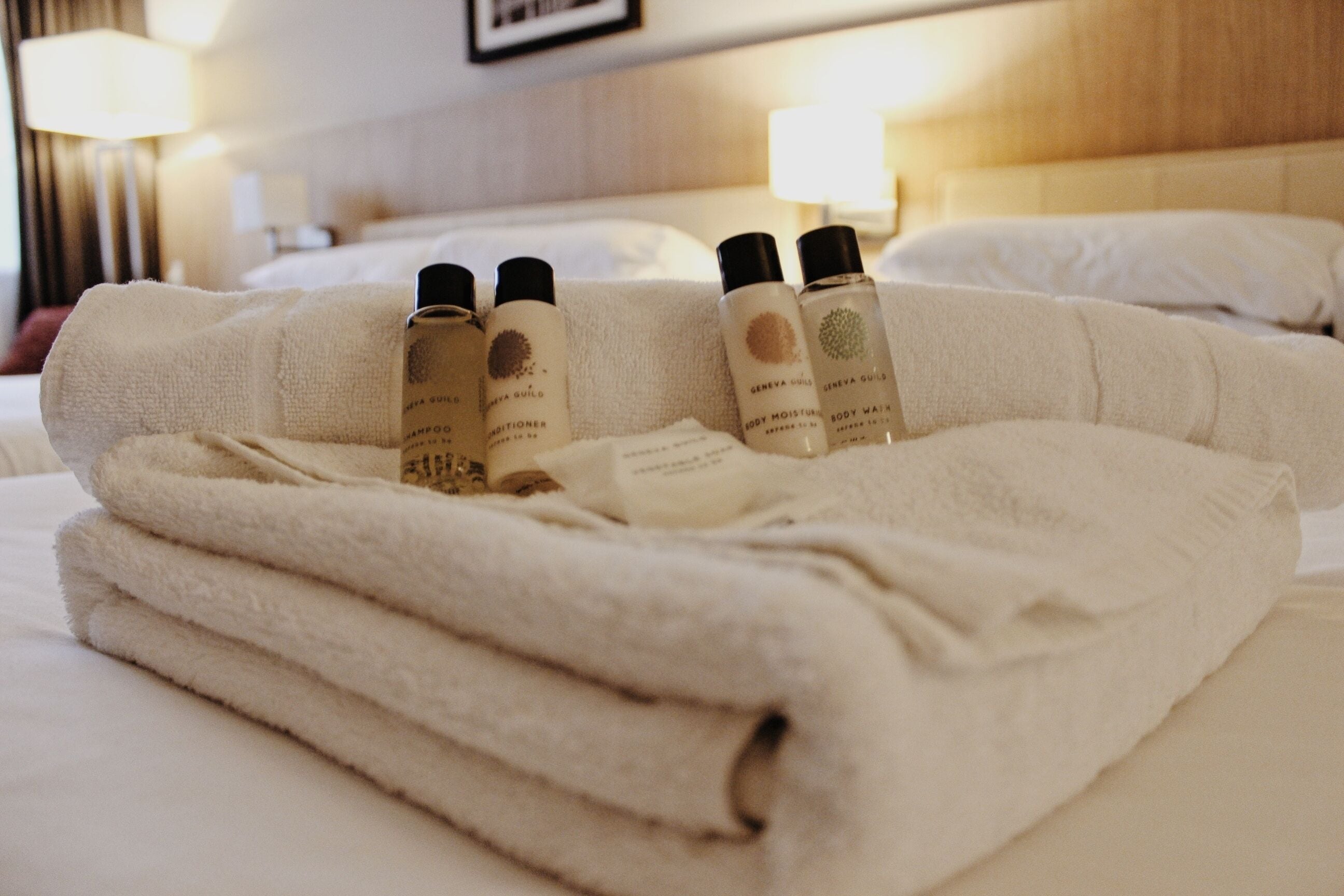 deluxe double room | desk, iron/ironing board, free wifi, bed sheets