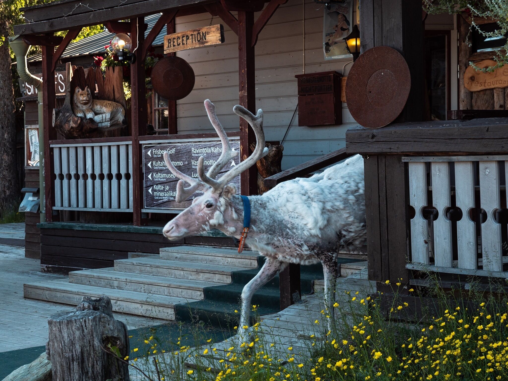 Ulkopuoli