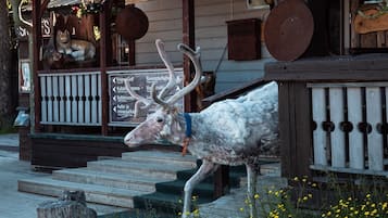 外觀