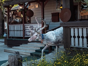 Ulkopuoli