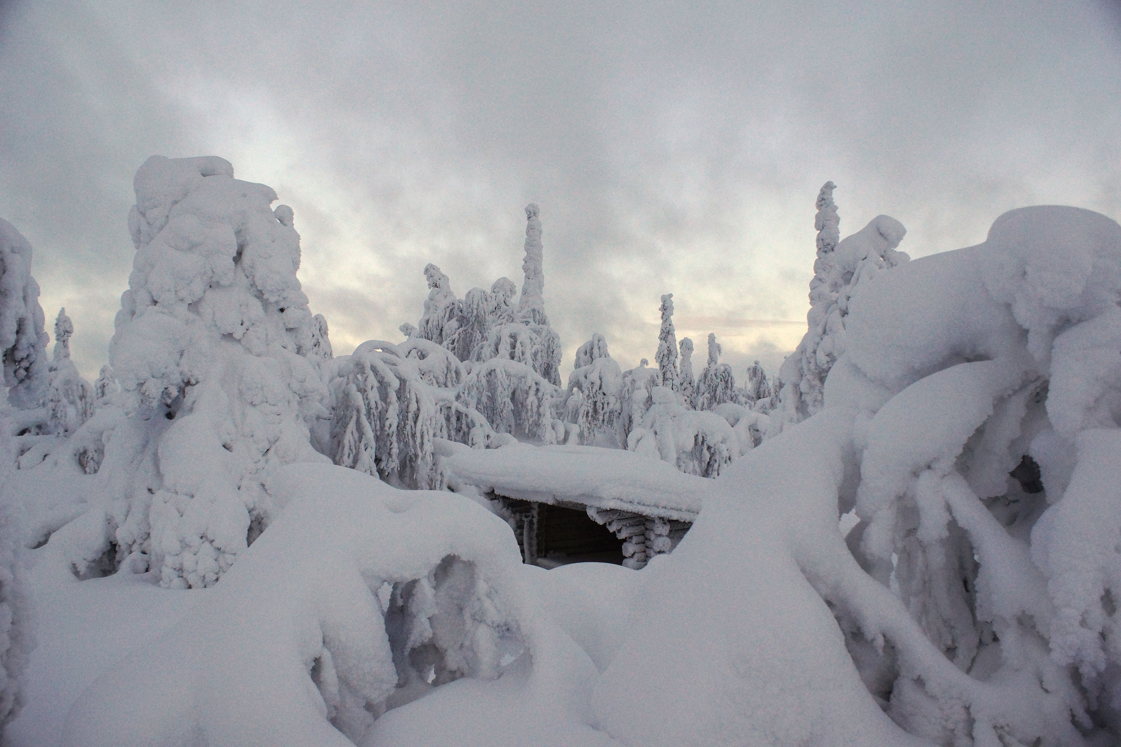 Lumipeitteinen maisema, jossa on lumihunnussa kylpeviä puita ja pieni rakennelma, jonka osa on lumen peitossa.