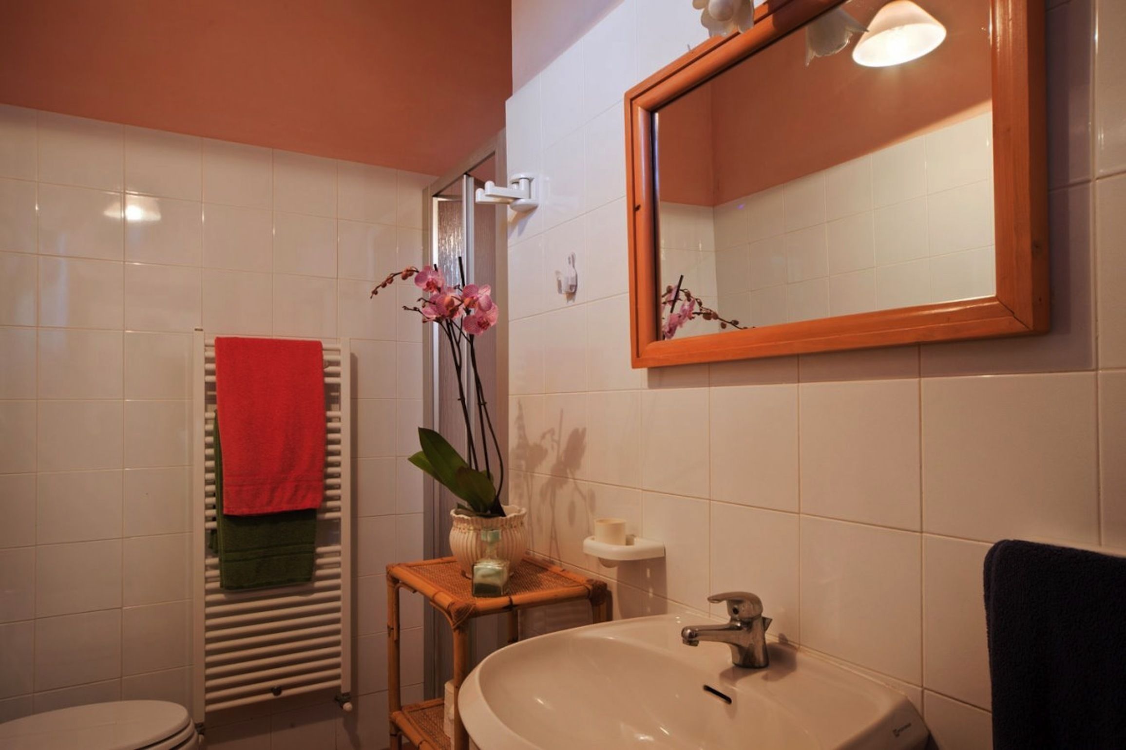 Un bagno con un lavandino bianco, uno specchio, un porta asciugamani con un asciugamano rosso, una piccola pianta e un water.