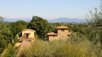 Facciata della struttura