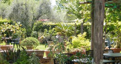 Agriturismo Poggio Alle Lame
