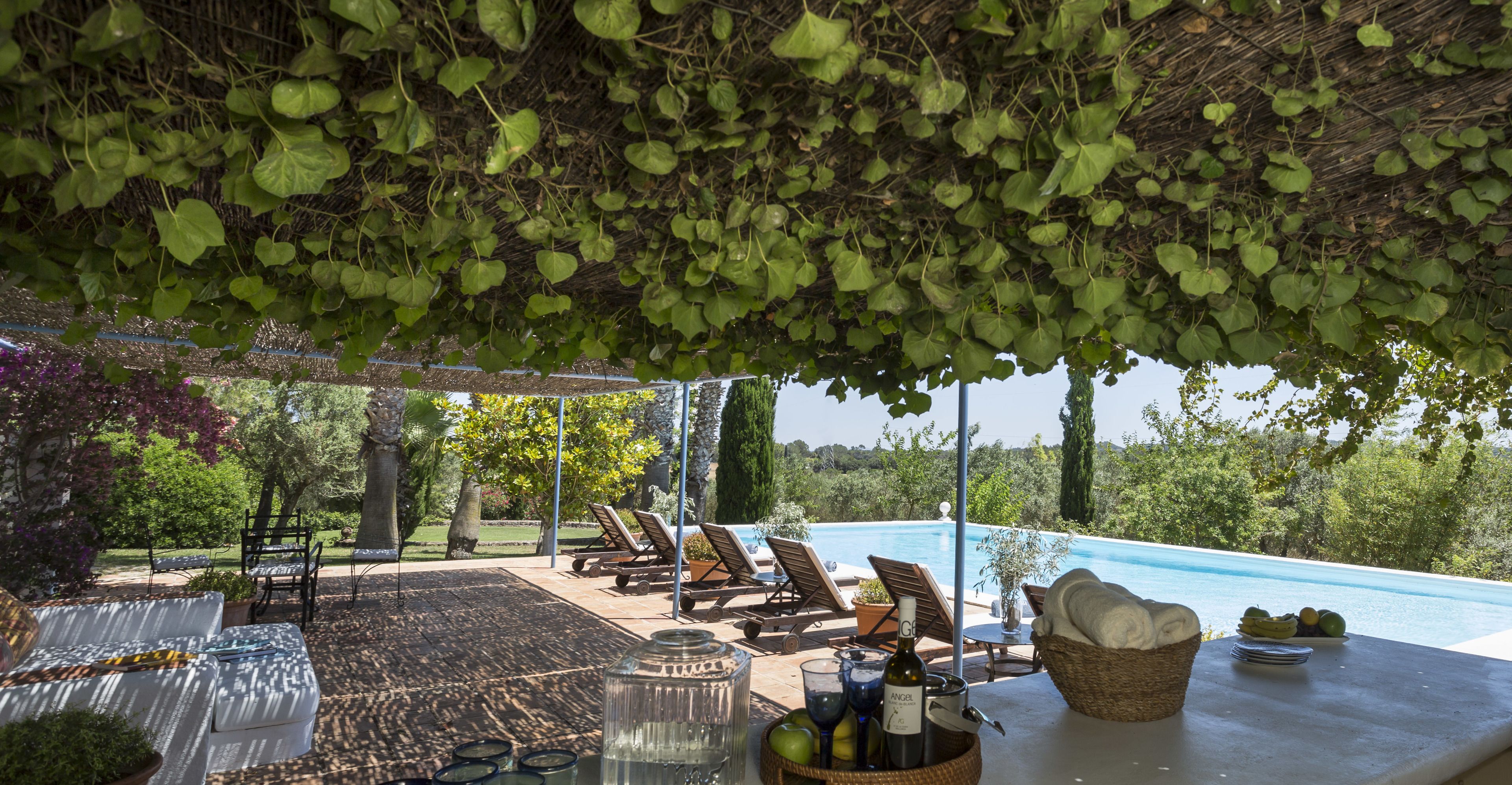 Foto - Finca Son Miranda -LA Organic