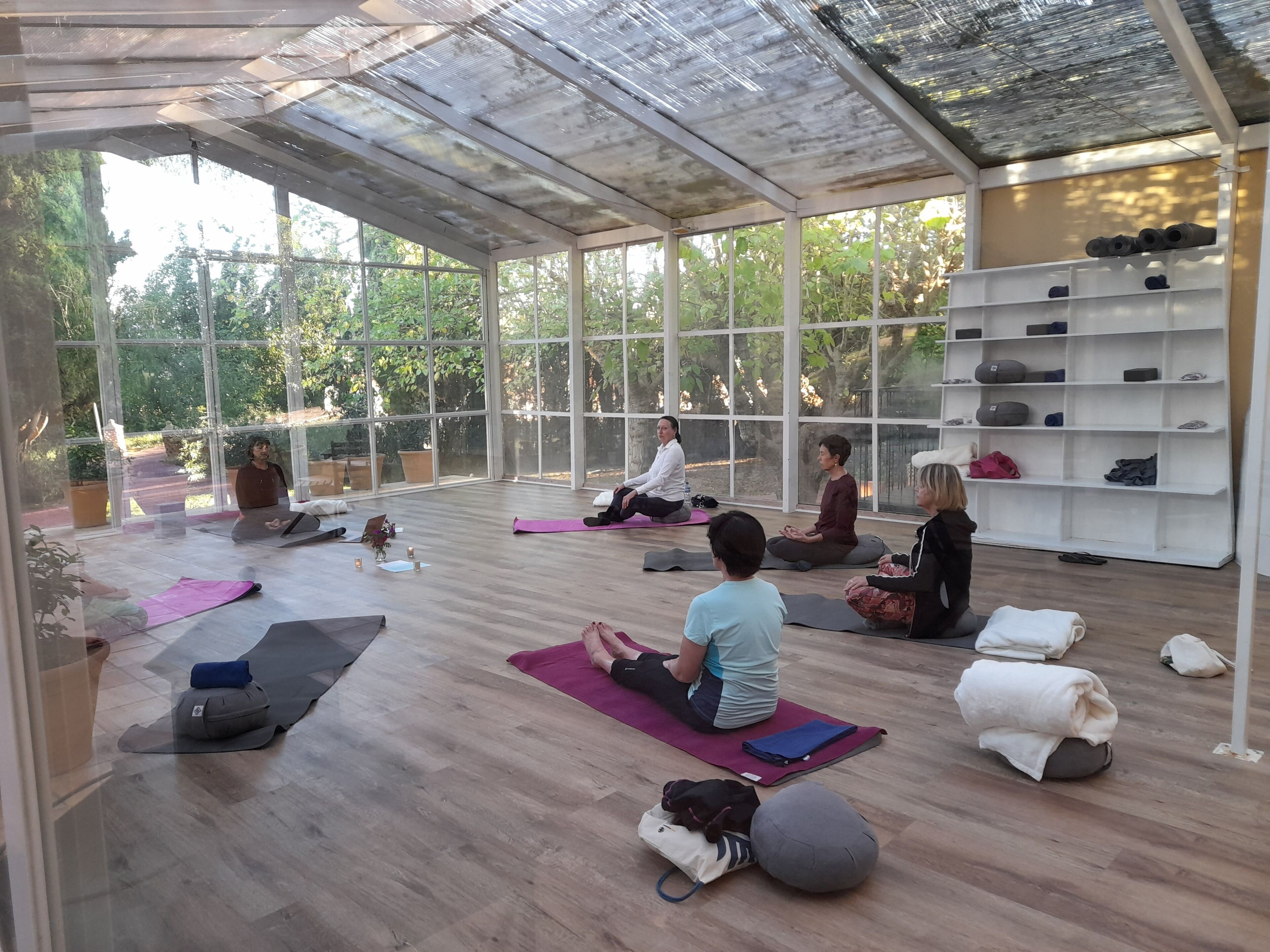 Foto - Finca Son Miranda -LA Organic