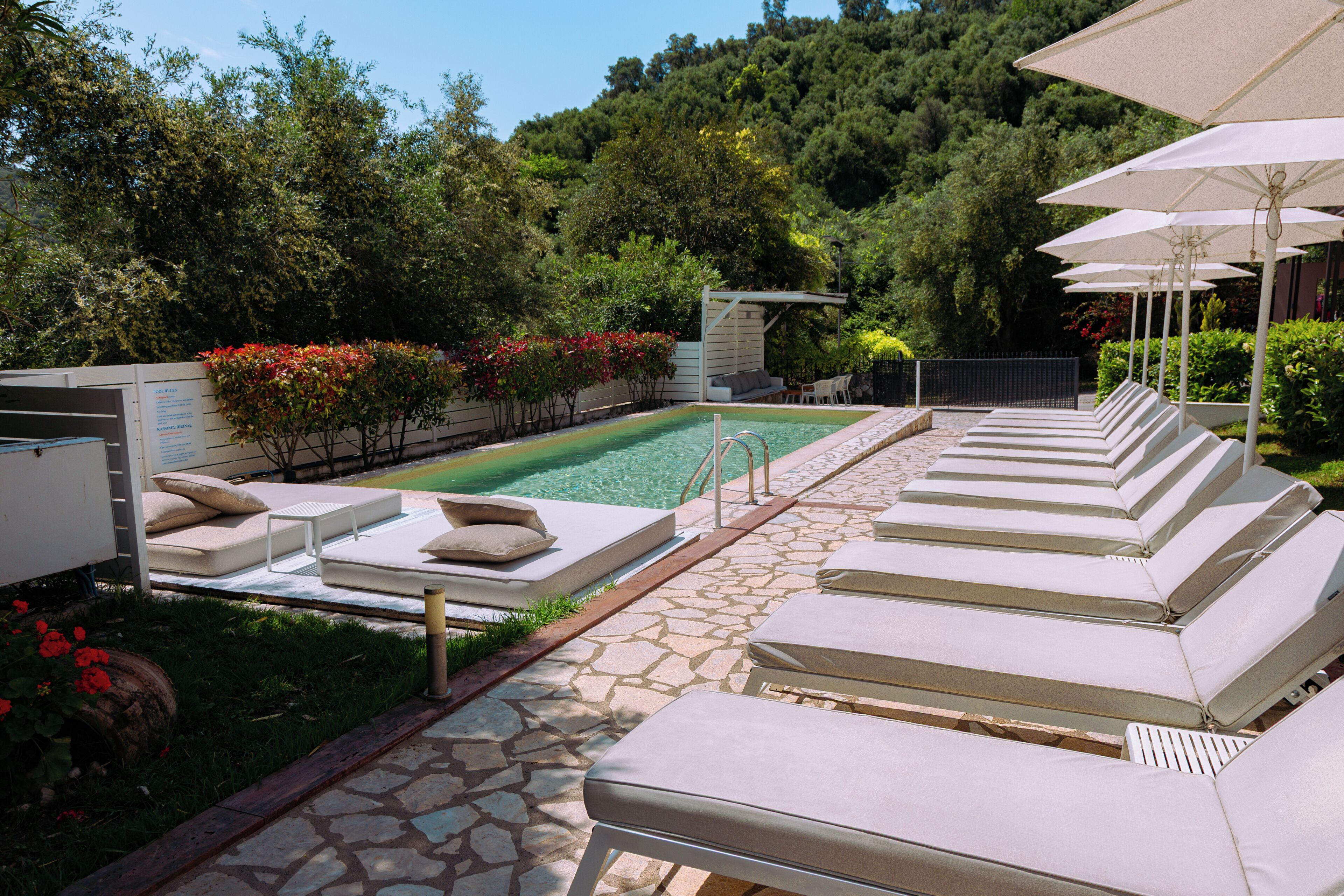 Área de piscina com espreguiçadeiras e guarda-sóis, cercada por vegetação e um caminho de pedra.
