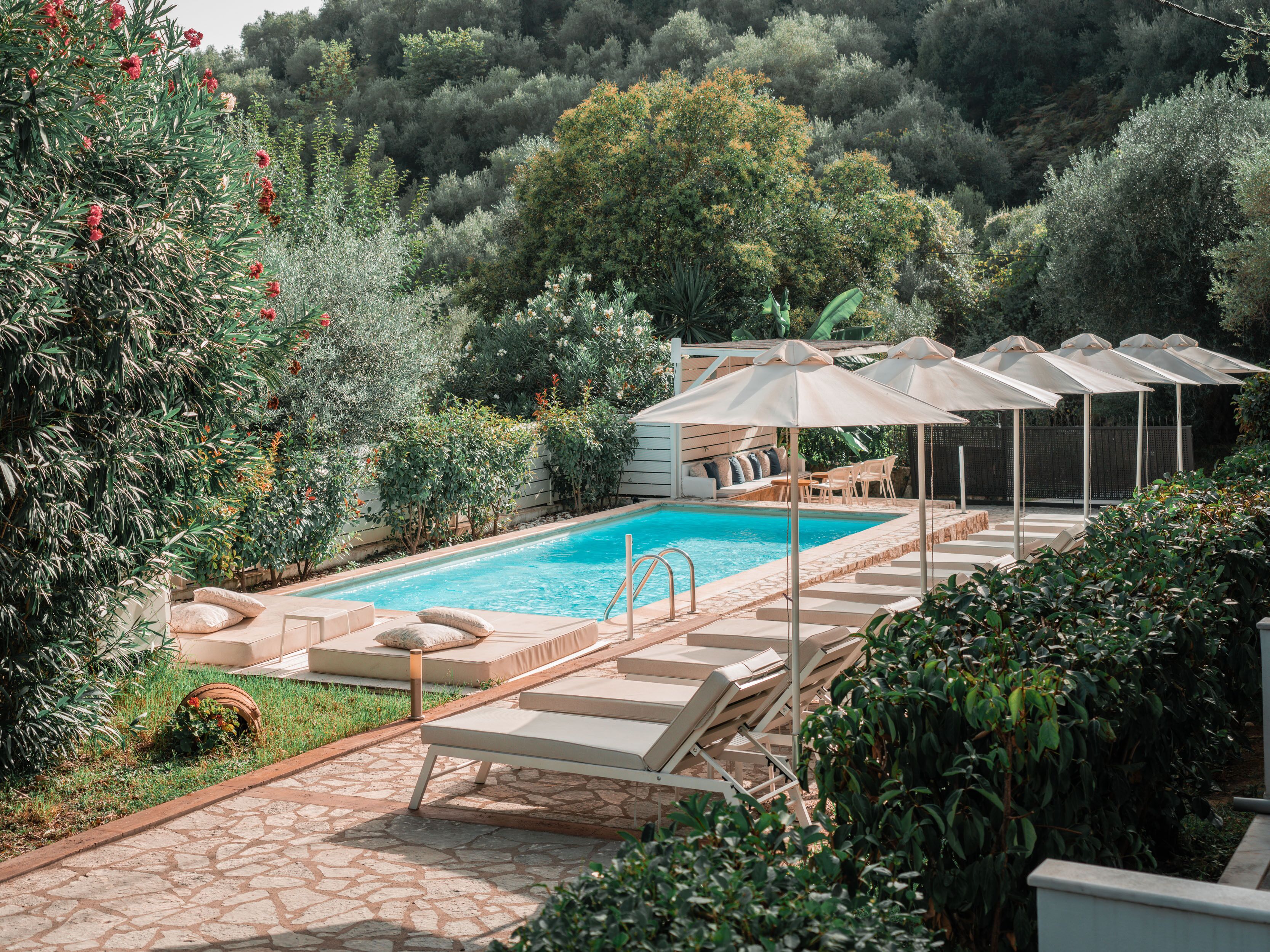 A swimming pool with lounge chairs and umbrellas, surrounded by lush greenery and a stone pathway.