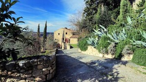 Un sentier de pierres mène à une maison de campagne en pierre, entourée d’une végétation luxuriante et de grands arbres.