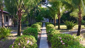 A pathway flanked by lush greenery and palm trees, leading to a building with a tiled roof. - Pousada Tropical Arraial (Porto Seguro)