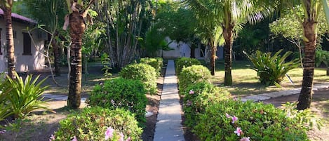 A pathway flanked by lush greenery and palm trees, leading to a building with a tiled roof.