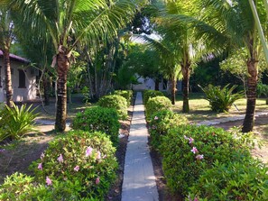 Utsikt fra overnattingsstedet