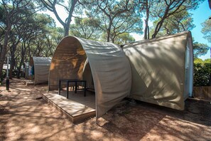 Vista desde la habitación