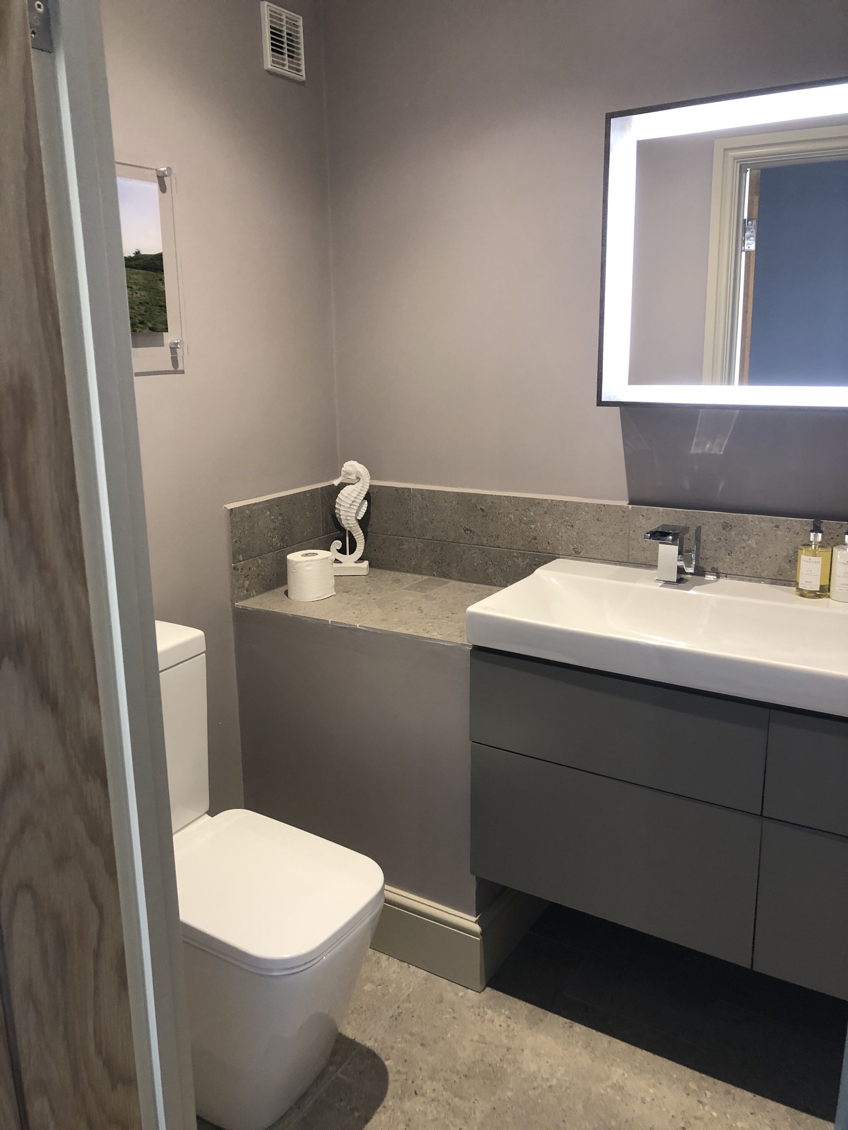 A modern bathroom with a toilet, a sink, and a mirror.