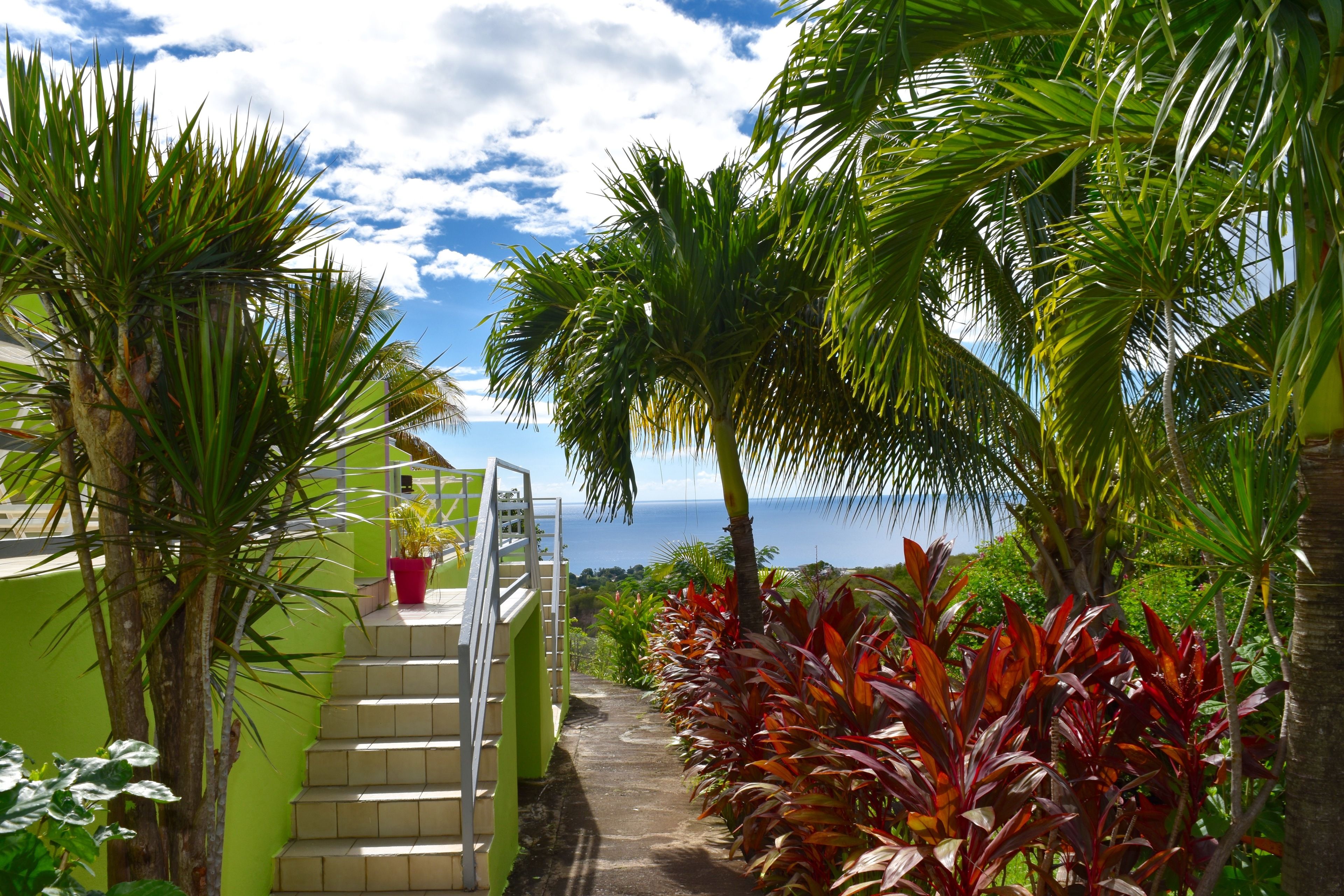 A staircase leading to a balcony with a view of the sea, surrounded by tropical plants and a green building.