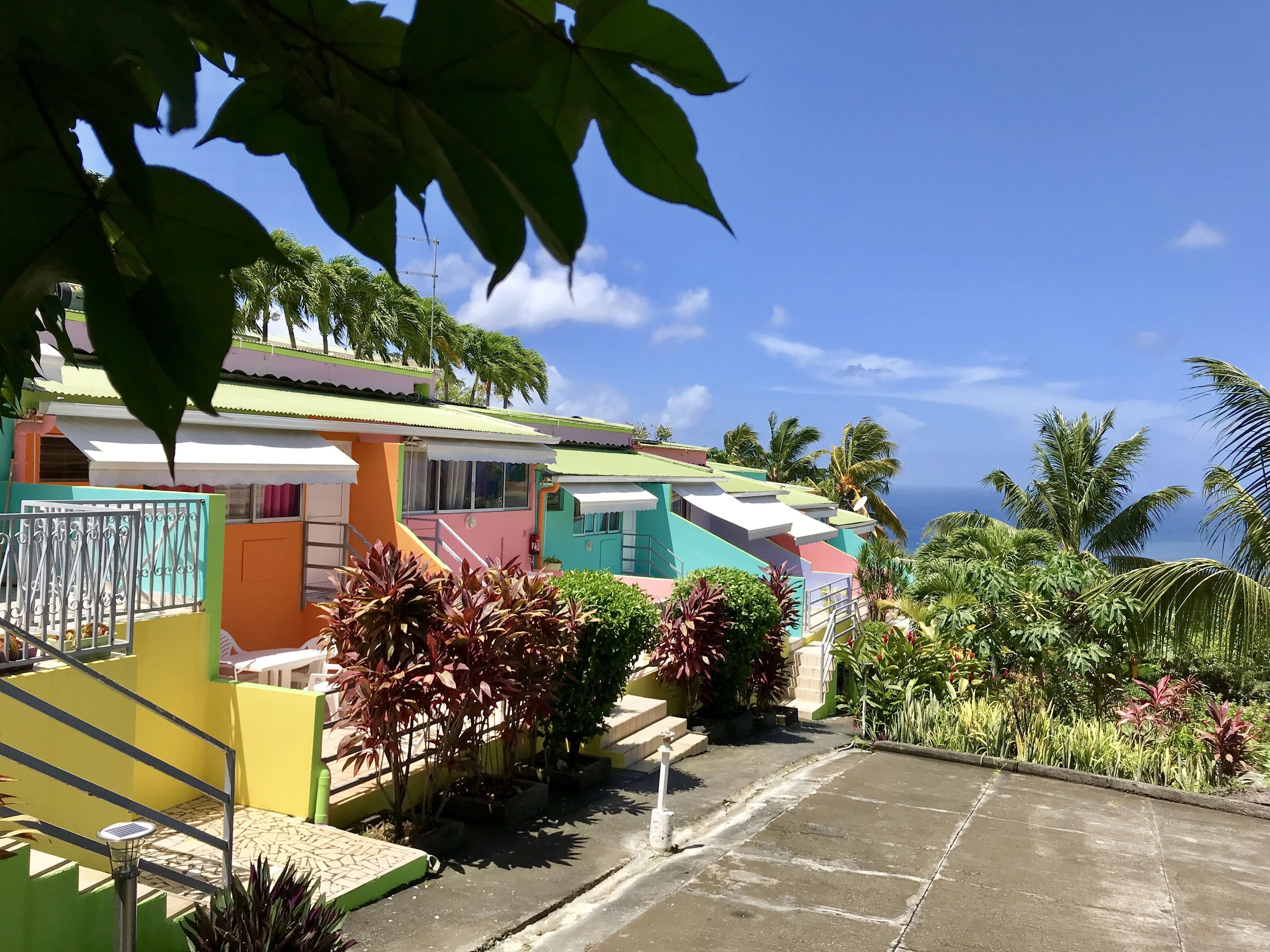 A colorful building with a staircase leading to a covered area, surrounded by lush greenery and palm trees.