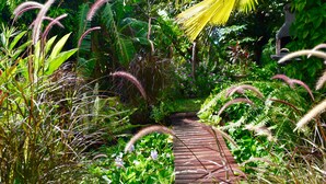 A garden pathway surrounded by lush greenery and various plants. - PARADIS TROPICAL appart'hotel (Baillif)