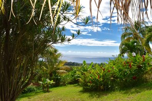 Vista desde la propiedad