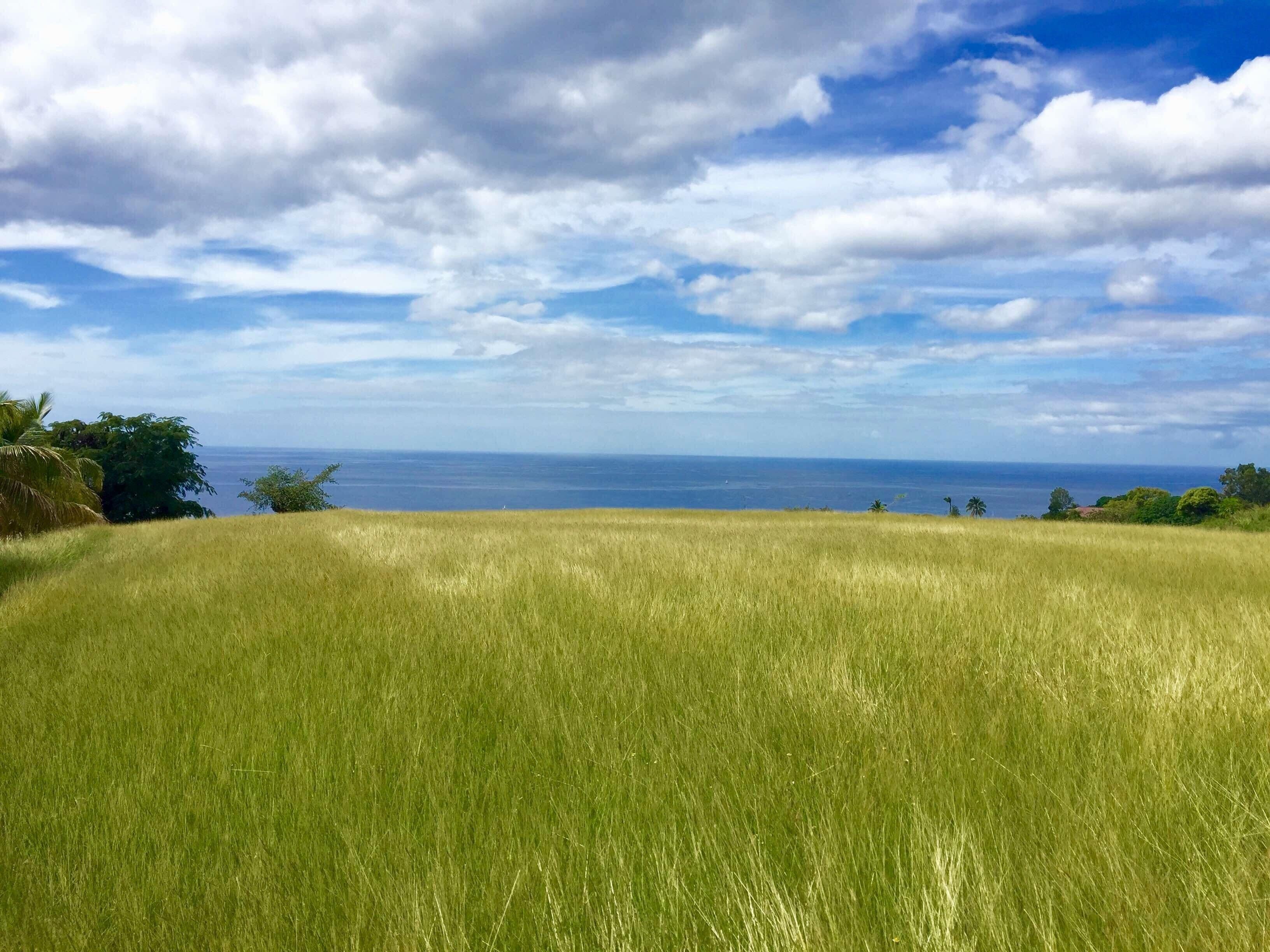 A grassy field with a view of the ocean and a partly cloudy sky.