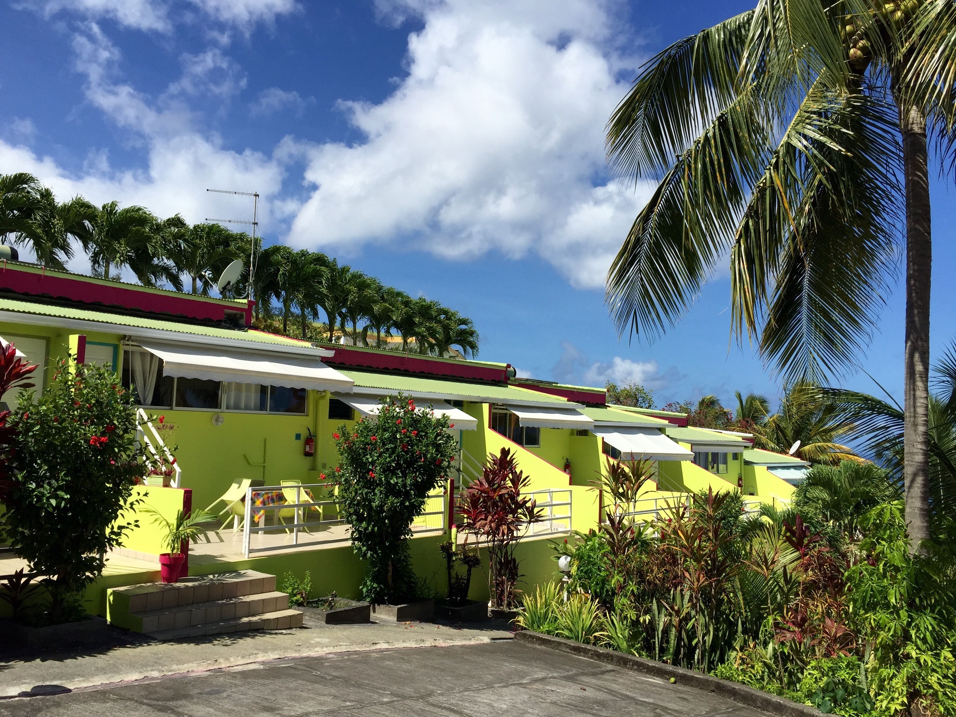 A row of bright yellow buildings with white awnings, surrounded by lush greenery and palm trees.