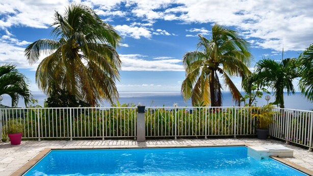 A swimming pool with a view of the ocean, surrounded by palm trees and a white fence. - PARADIS TROPICAL appart'hotel (Baillif)
