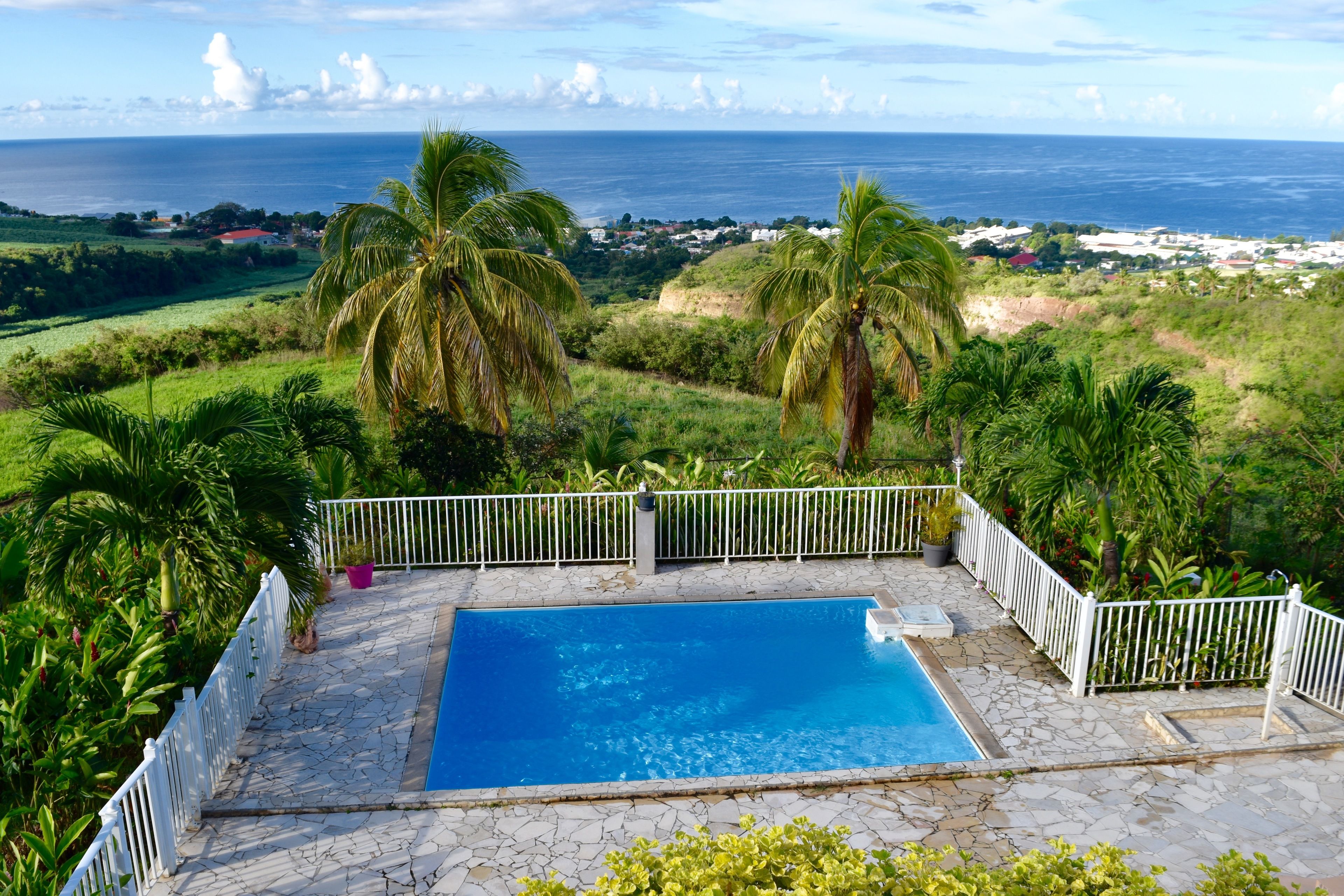 A swimming pool with a white fence, surrounded by lush greenery and palm trees, overlooking a coastal landscape.