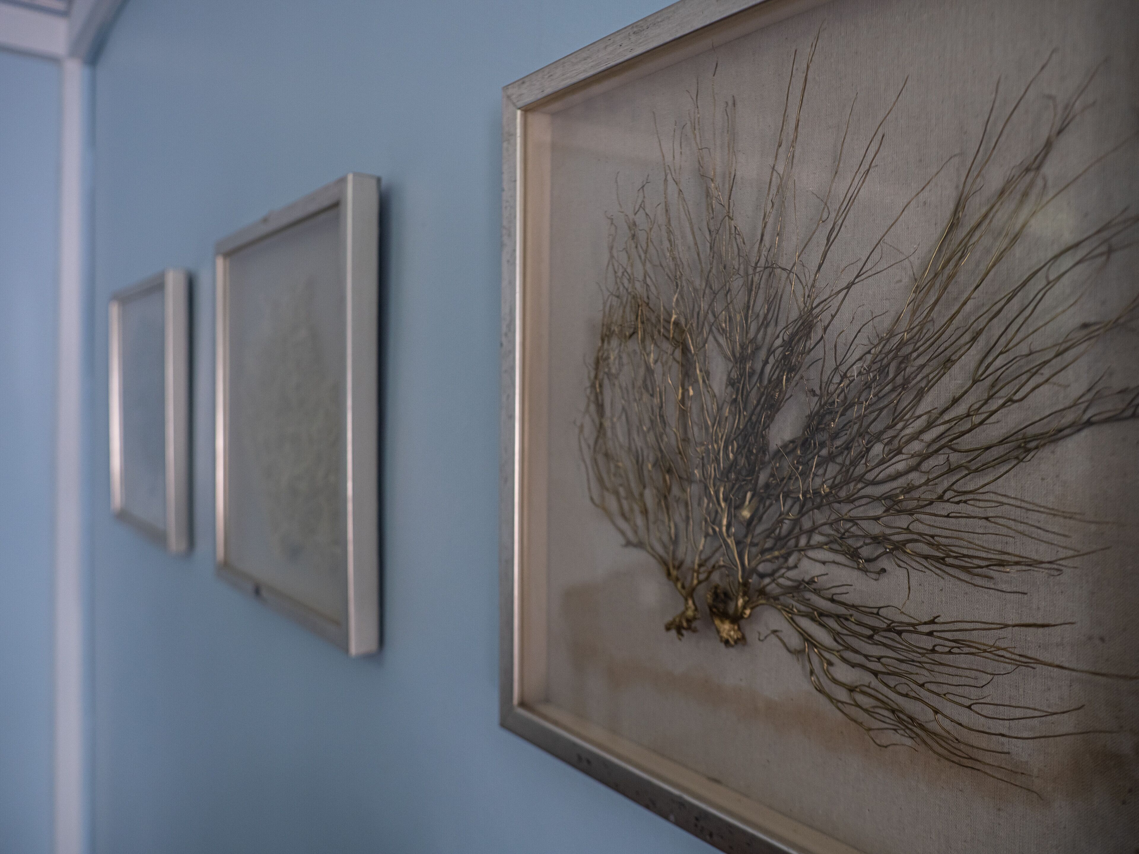 Foto - Sutton Place Hotel