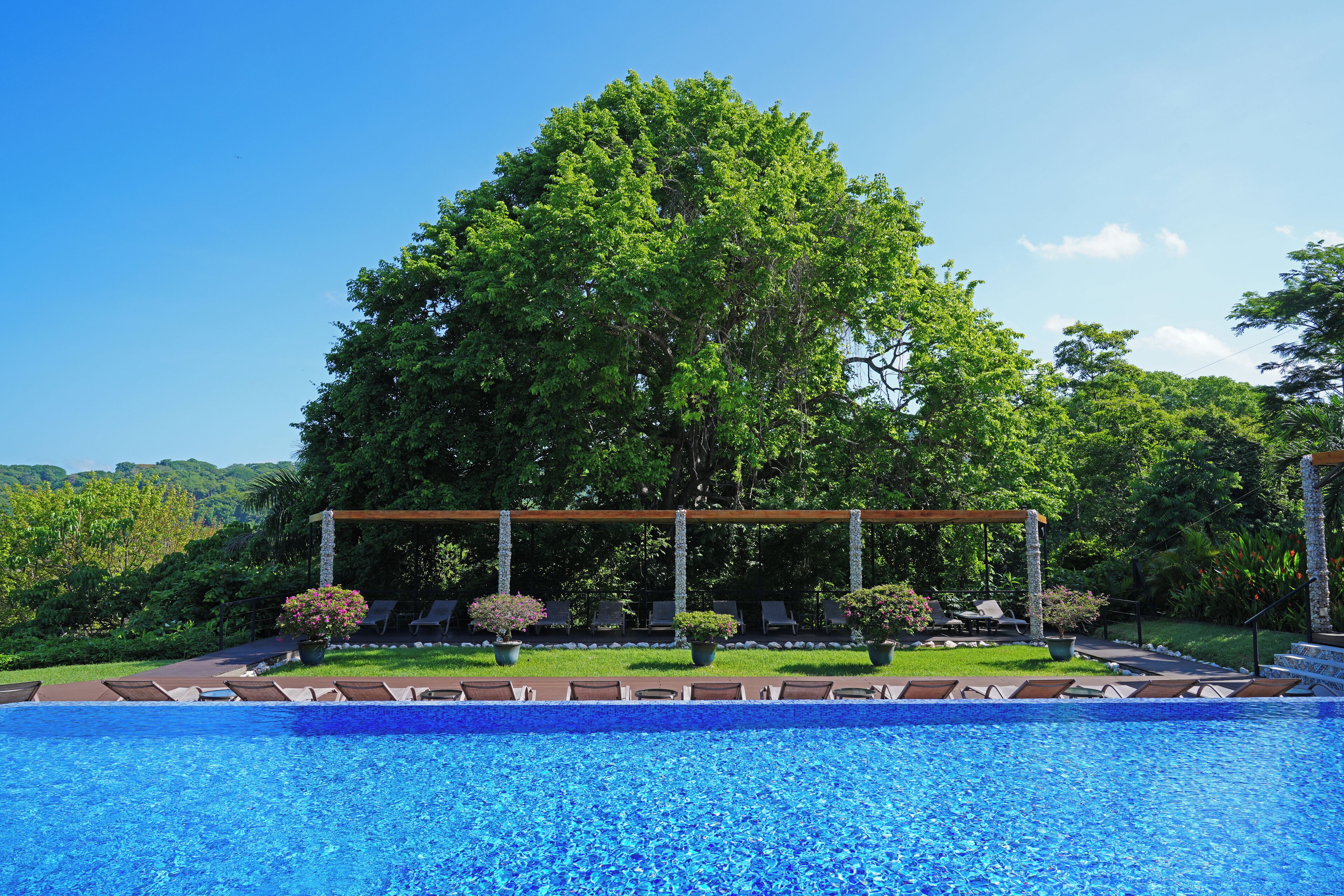 A swimming pool with lounge chairs and a pergola, surrounded by lush greenery and trees.