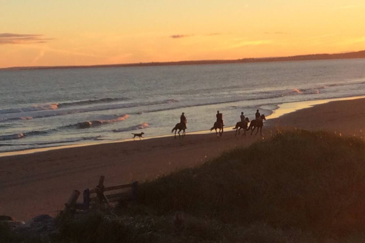 Een strandscène met een groep mensen te paard en een hond die langs de kust wandelt.