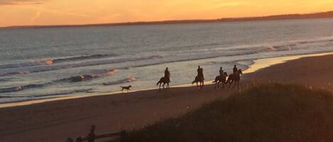 En la playa y surf