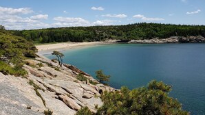 A coastal landscape with a clear blue sky, a sandy beach, and a forested area.