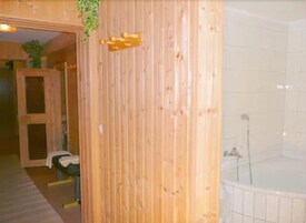 Pared de madera con una bañera, una puerta de madera y una planta.