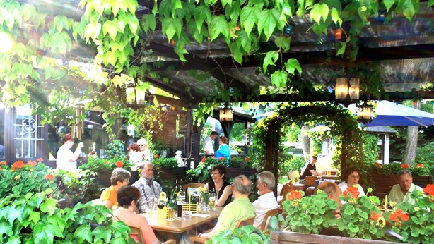 Un café al aire libre con mesas y sillas bajo una pérgola cubierta de follaje verde.
