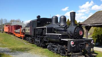 Uma locomotiva a vapor preta com um vagão de mão vermelha e um vagão coberto com toras, estacionada em um trilho com área gramada e um edifício ao fundo.