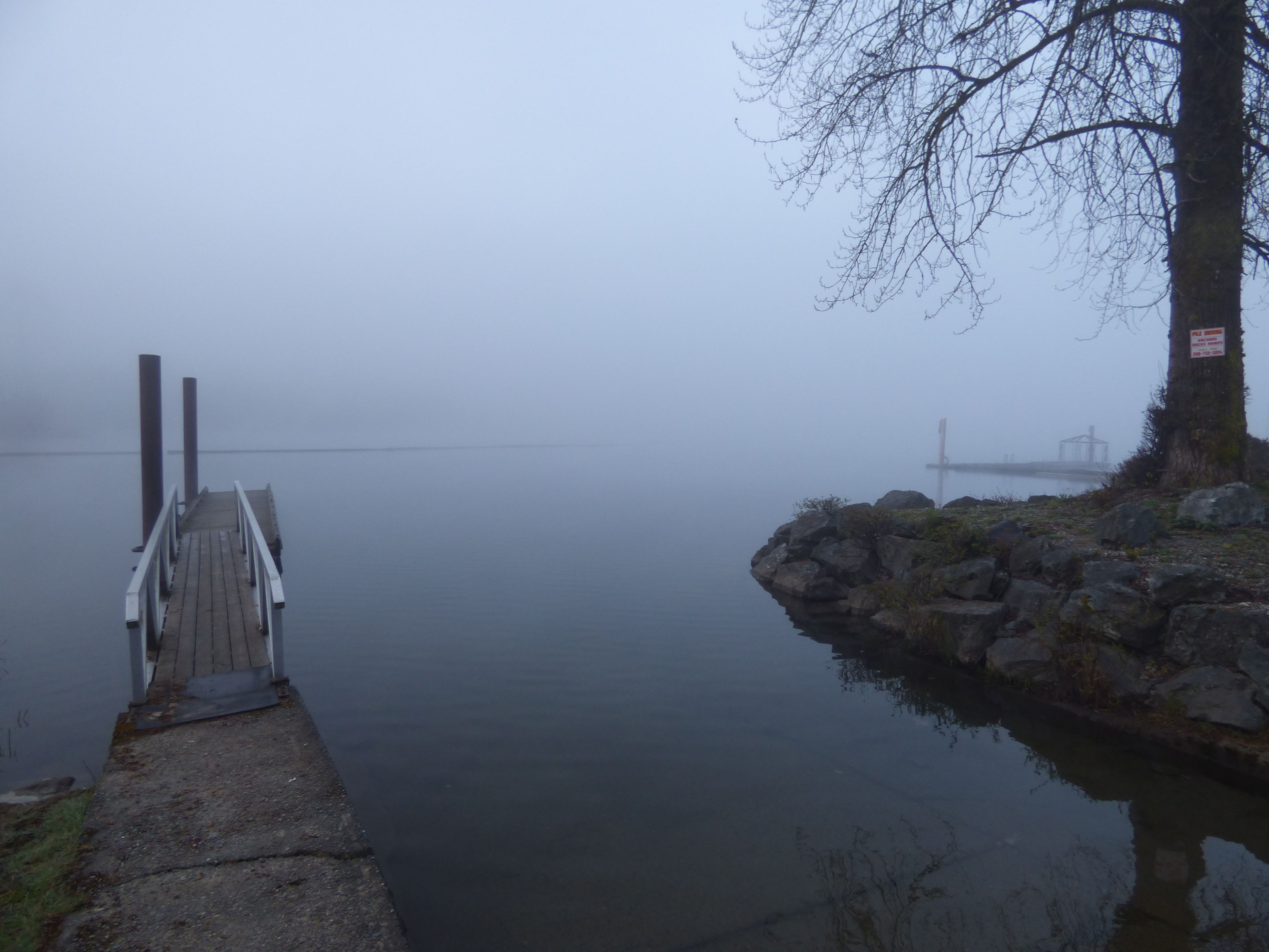Une scène brumeuse le long du littoral, avec une jetée en bois s’avançant dans une eau calme, une rive rocheuse à la végétation clairsemée et un arbre portant une pancarte.