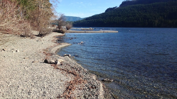 Vista de un lago con orilla pedregosa, un muelle que se adentra en el agua y una colina boscosa al fondo.