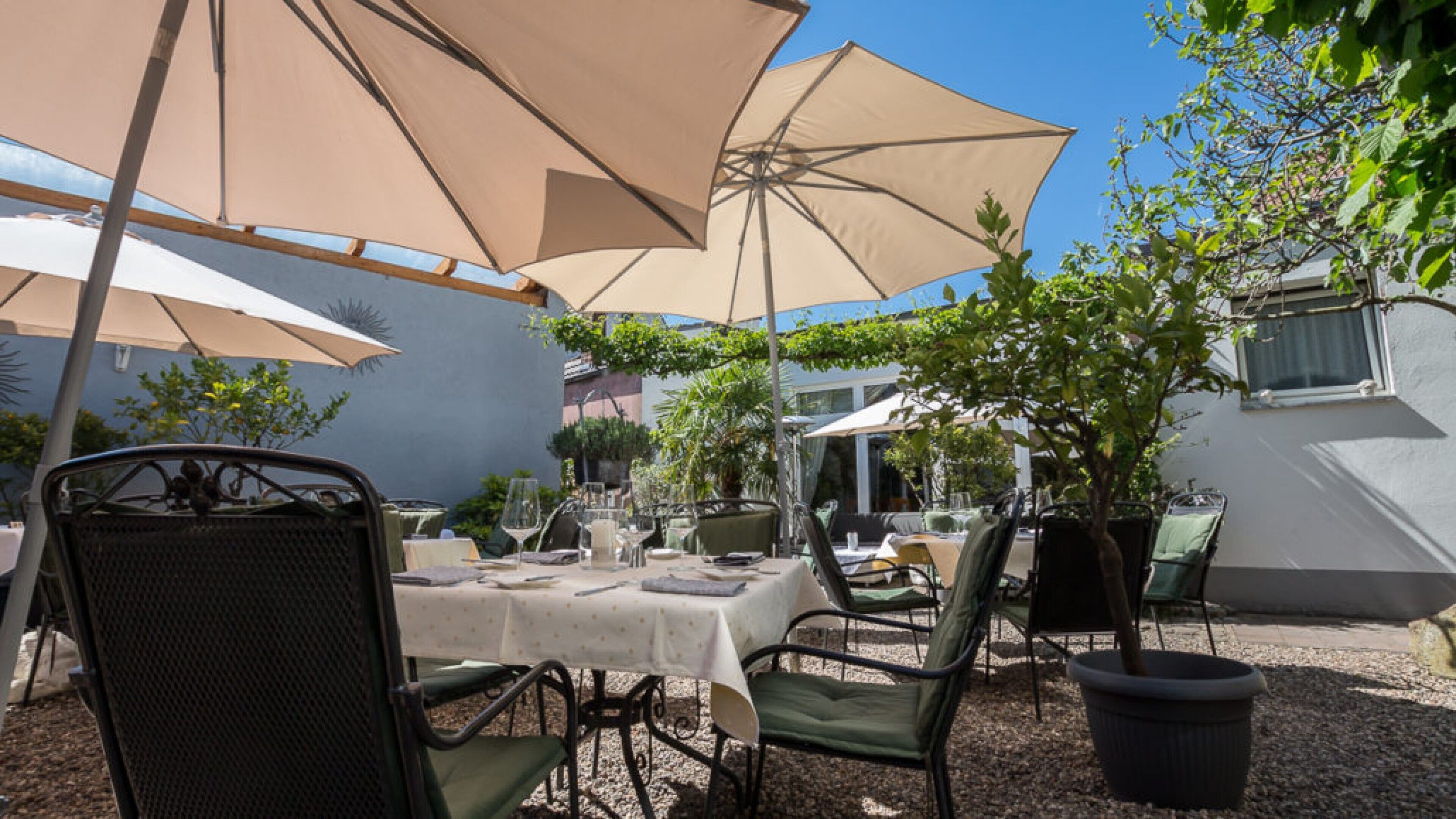 breakfast and dinner served, regional cuisine