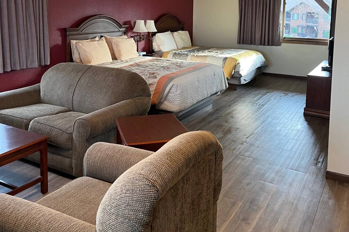 Executive Single Room | Living area | 32-inch LED TV with satellite channels