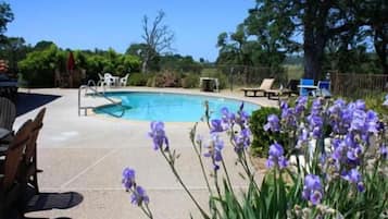Una piscina con un cielo azul despejado, rodeada de vegetación y algunas sillas de descanso.