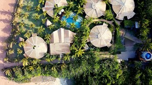 Vista aérea de un resort con piscina rodeada de palmeras y sombrillas.