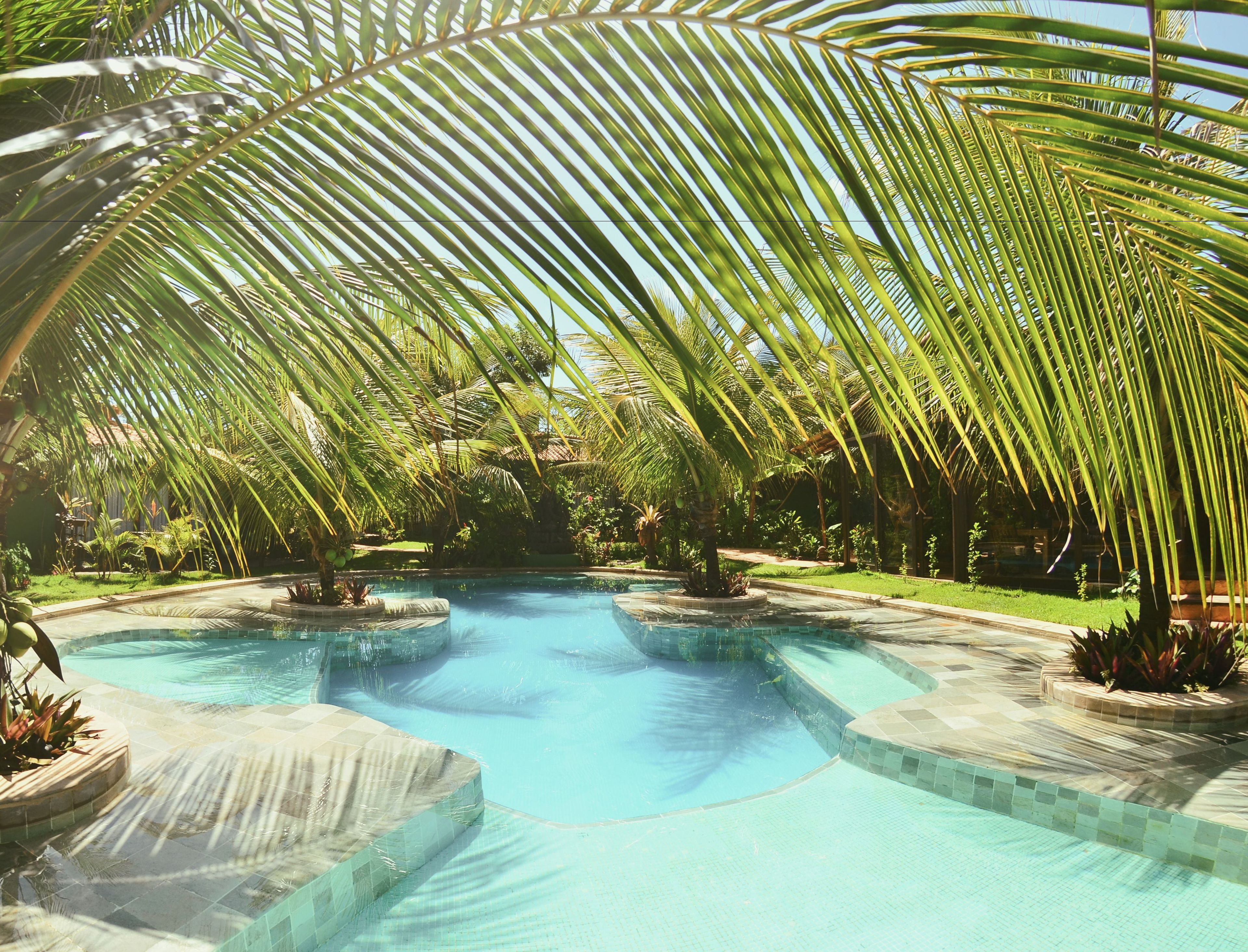 outdoor pool, pool loungers