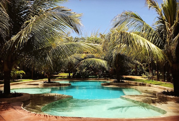 A swimming pool surrounded by palm trees and a well-maintained garden.