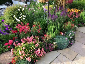 Garden - Castlecroft (Stirling)