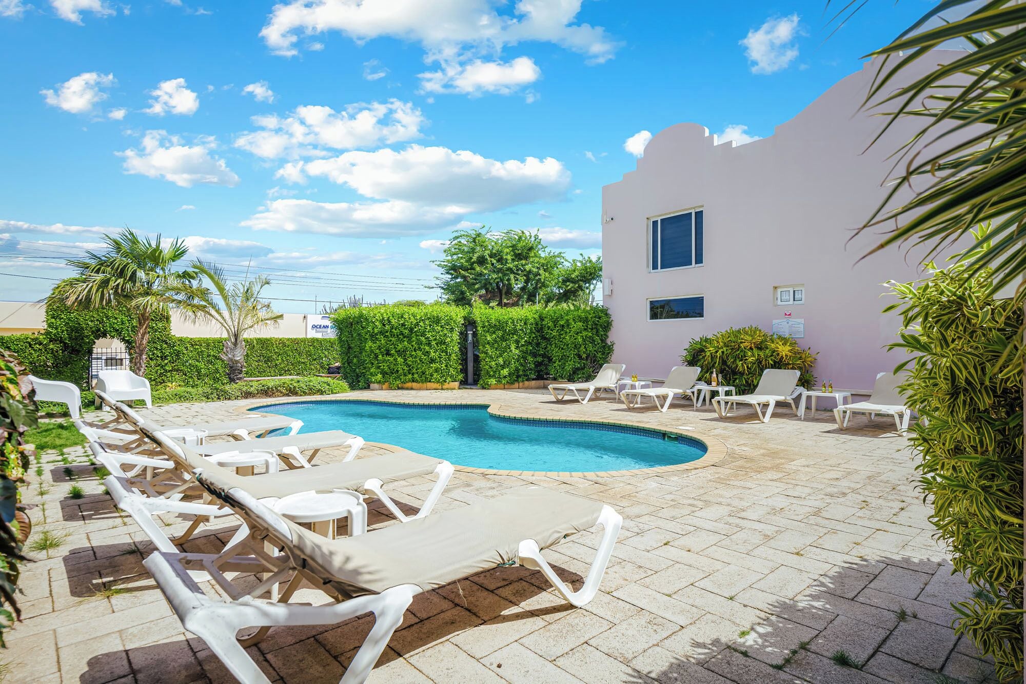 Outdoor pool, open 8:00 AM to 8:00 PM, sun loungers