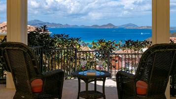 ラグジュアリー コンドミニアム 3 ベッドルーム (BL) | テラス / パティオ